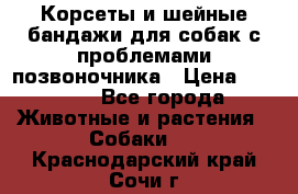 Корсеты и шейные бандажи для собак с проблемами позвоночника › Цена ­ 2 500 - Все города Животные и растения » Собаки   . Краснодарский край,Сочи г.